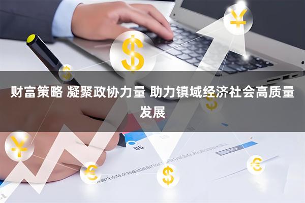 财富策略 凝聚政协力量 助力镇域经济社会高质量发展