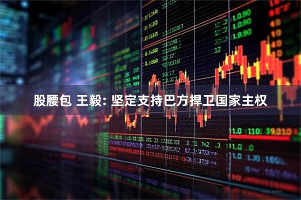 股腰包 王毅: 坚定支持巴方捍卫国家主权