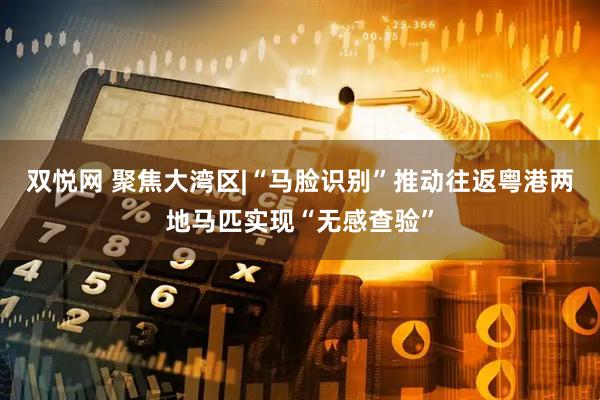 双悦网 聚焦大湾区|“马脸识别”推动往返粤港两地马匹实现“无感查验”