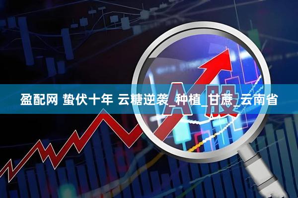 盈配网 蛰伏十年 云糖逆袭_种植_甘蔗_云南省